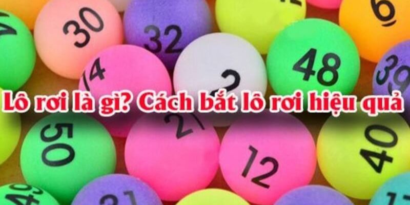 Lô rơi từ đề các lời khuyên